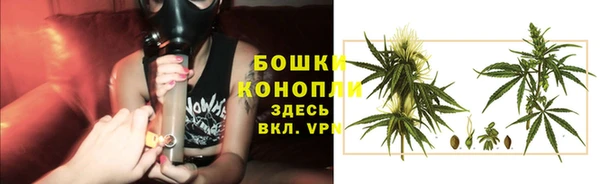 трава Алзамай