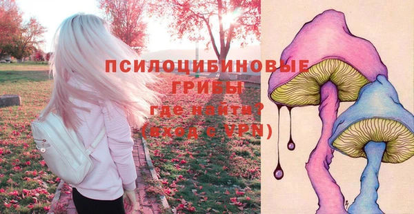 эйфоретик Алексеевка