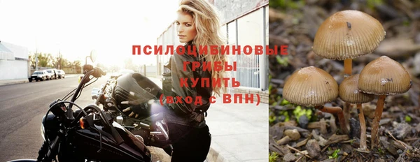 меф Алексин