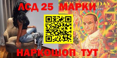 амф Новодвинск