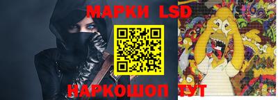 амф Новодвинск