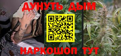 амф Новодвинск