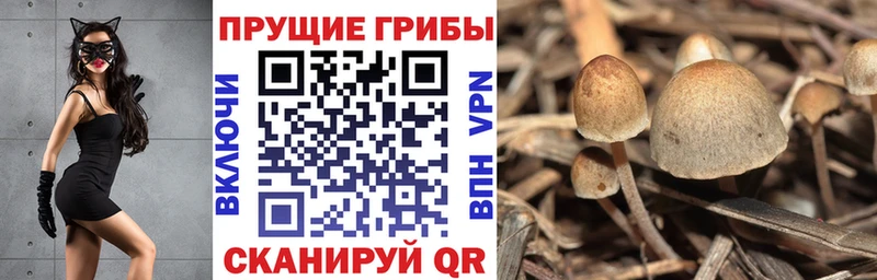 Псилоцибиновые грибы MAGIC MUSHROOMS  гидра ссылки  Югорск 