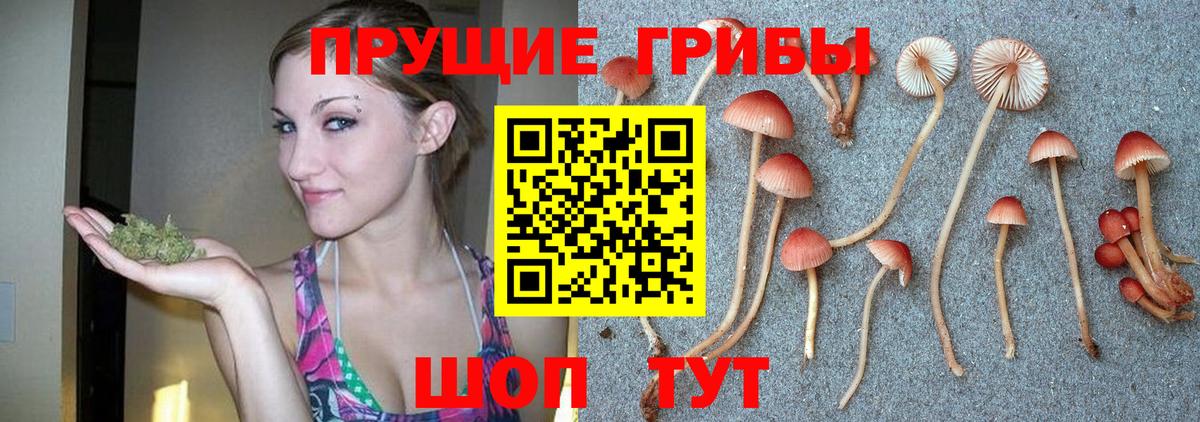 Псилоцибиновые грибы MAGIC MUSHROOMS Югорск